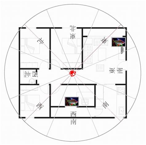 座西南朝東北財位|坐西南朝東北的12個房屋風水專業建議，助你選擇最佳住宅 